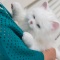 猫飼ったら1回は引っかかれる？