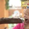 【画像有】女子アナがバナナ食べてるとこ