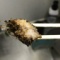 ワイの失敗したイワシの干物にうじ虫が湧くｗｗｗｗｗｗｗｗｗｗｗｗｗｗｗｗｗ