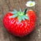 かわいすぎて食べられないイチゴ🍓🍓🍓