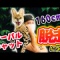 サーバルちゃんが行方不明になって５日目…