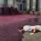【動画】 スペインのワイナリー　赤ワインの洪水　想像以上にやべぇ